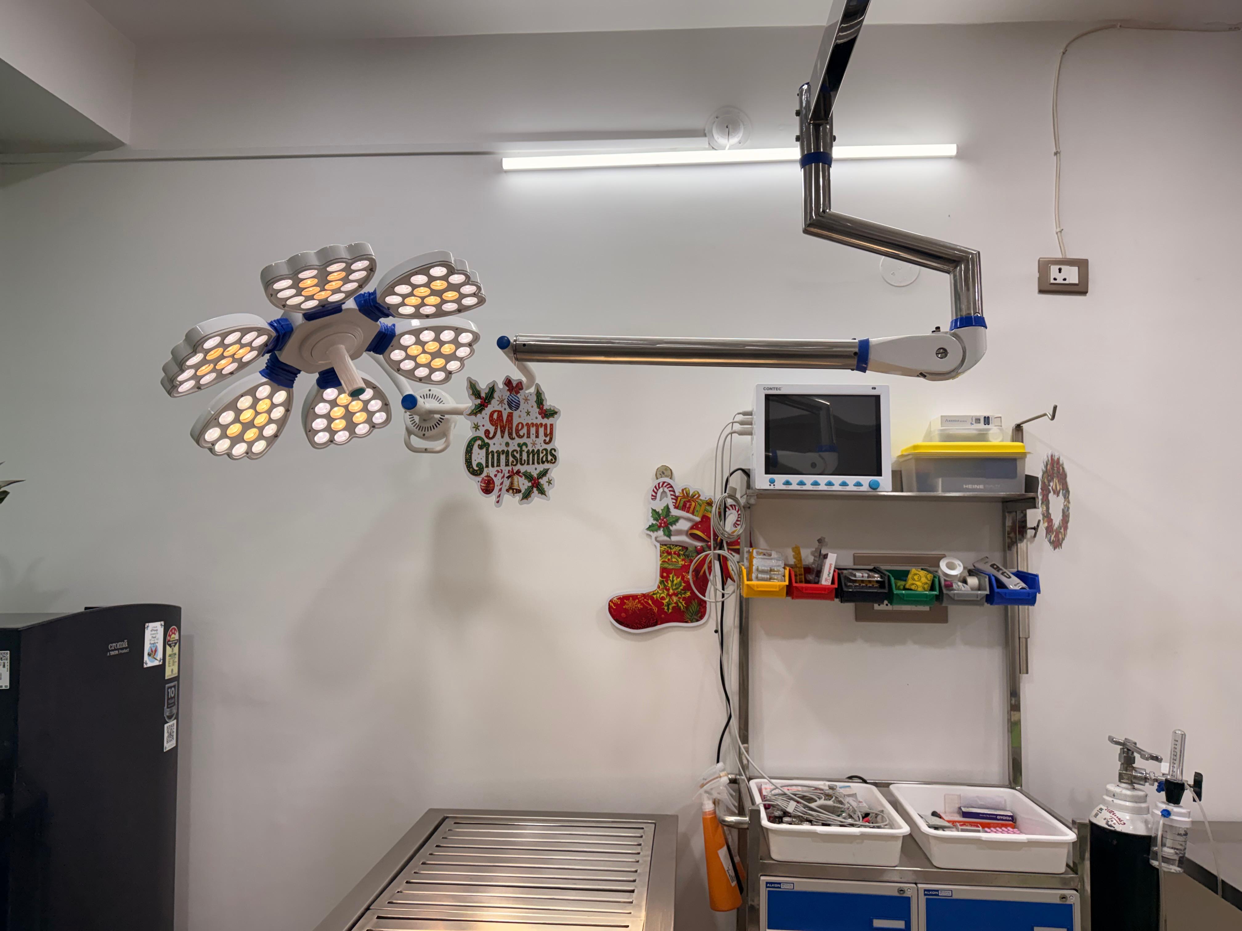 Operating area at Noah Animal Clinic